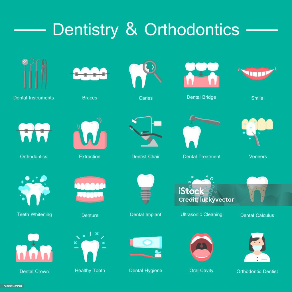 Teeth, dentistry medical flat icons. Dentistry, orthodontics flat icons. Colorful flat vector icons of dental clinic services, stomatology, dentistry, orthodontics, oral health care and hygiene, dental instruments. Icon Symbol stock vector