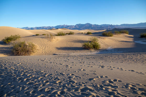 istock Footprints in sand leading out to Mesquite Flat Sand Dunes 938863114