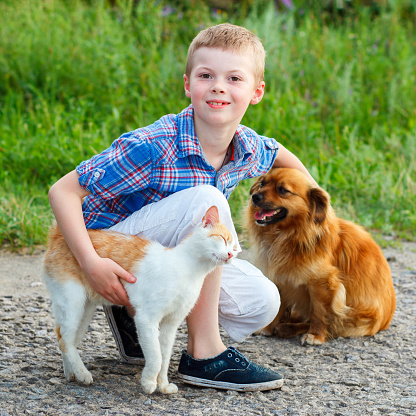 smiling little boy with a cat and a dog sitting on the road, the guy stroking a dog, a cat rubs against the leg of the child