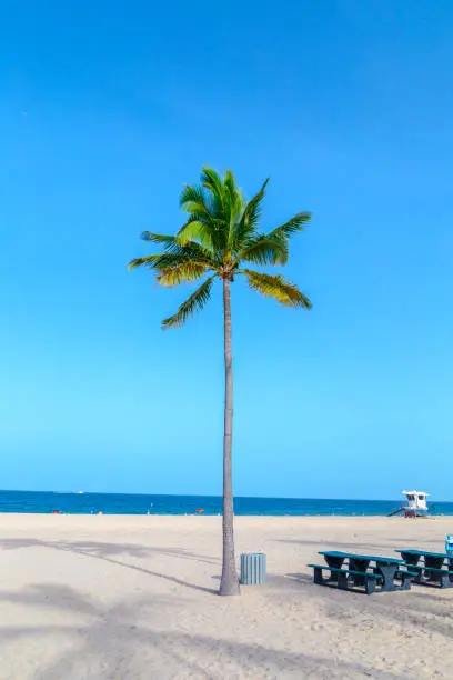 beautiful Fort Lauderdale beach