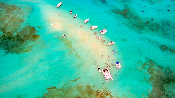 aérea de barcos e praticantes de snorkel que o cristal de água límpida - cayman islands - fotografias e filmes do acervo