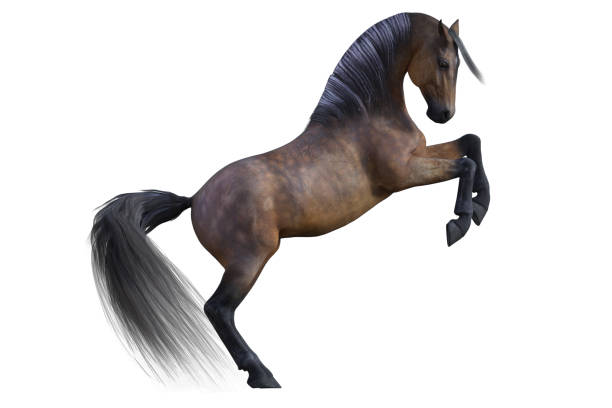 istock Beautiful Horse isolated on white, 3d render 938866502