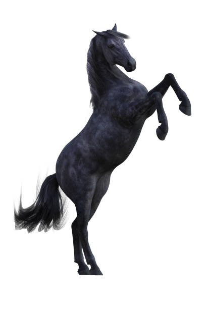 istock Beautiful Horse isolated on white, 3d render 938866528