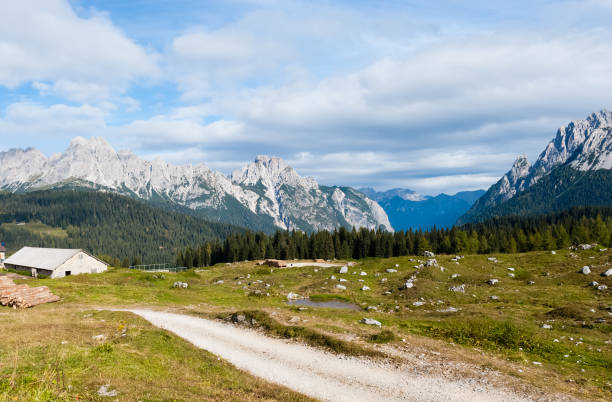 istock Alm in the European Alps 938866542