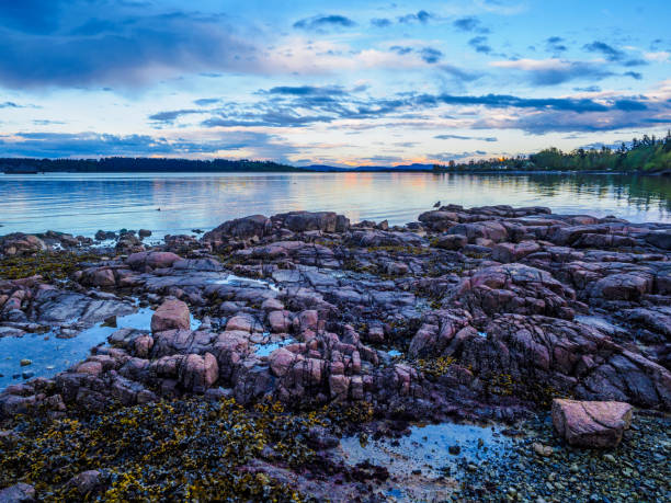 istock Evening at the rocky shore 938867156