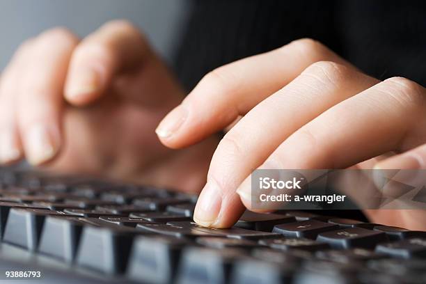 Female Hands Typing On The Comuter Keyboard Stock Photo - Download Image Now - Adult, Adults Only, Close-up
