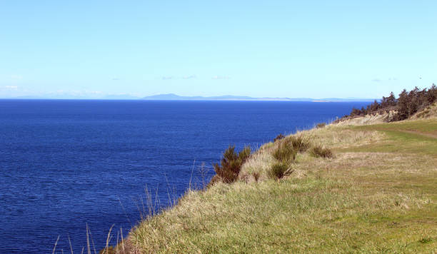 istock High Altitude View of Puget Sound 938870168