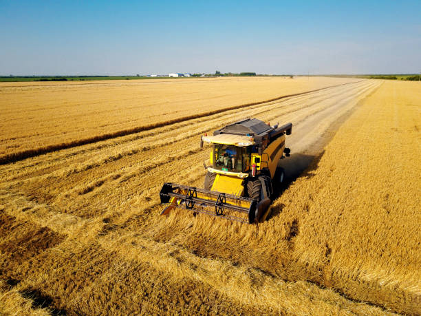 istock Combine harvester machine working in the wheat field on a sunny day. 938870240