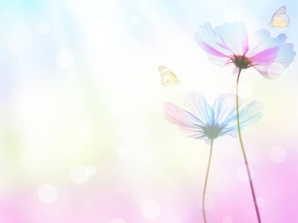 istock Floral abstract pastel background 938870374
