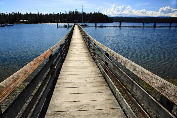 istock Long Pier Converges to Vanishing Point 938871070