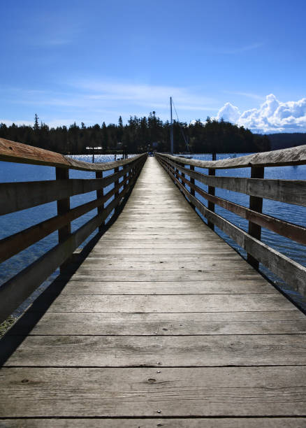 istock Long Weathered, Wooden Dock 938871424