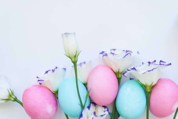 istock Easter eggs and spring flowers narcissi on white background 938875672