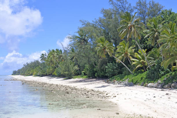 istock Beach and lagoon Rarotonga Cook Islands 938876456