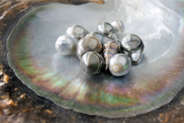 istock Keshi Tahitian Black Pearls 938880670