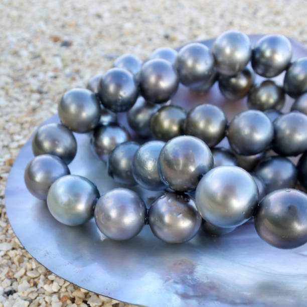 istock Round Tahitian Black Pearls 938885586