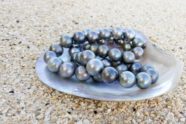 istock Round Tahitian Black Pearls 938885638
