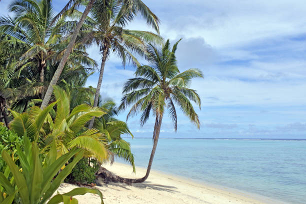 istock Landscape Titikaveka beach Rarotonga Cook Islands 938887338