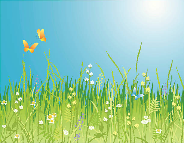 Colorful spring background with flowers and butterflies Flowers, grass and butterfly. A beautiful meadow! yard grounds illustrations stock illustrations