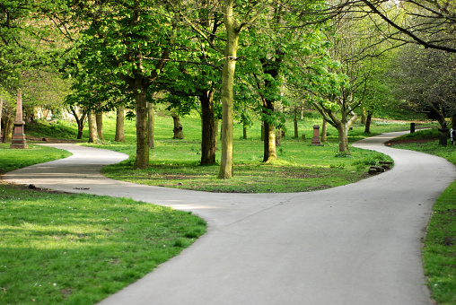 Forked road in St. James Gardens, Liverpool. St James's Cemetery is an urban park behind the Liverpool Cathedral. This photo symbolise a choice between two different paths. Diminishing perspective point of view. Trees and green grass.