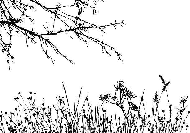 ilustraciones, imágenes clip art, dibujos animados e iconos de stock de hierba & árbol-vector silueta detalles están separados - tree silhouette meadow horizon over land