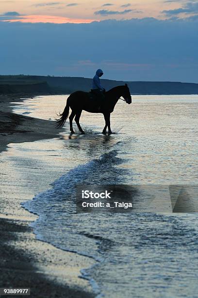 Koń I Osoby Rejs Rano - zdjęcia stockowe i więcej obrazów Koń - Koń, Mężczyźni, Plaża