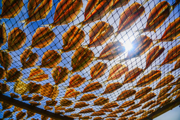 Dried fishes by heat from direct sunlight.