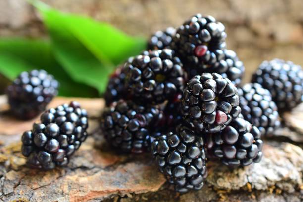 istock Close-Up Of Blackberries 938926926