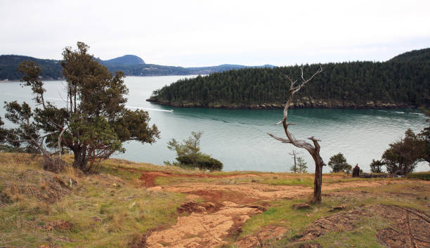 hilltop blick auf fidalgo meerenge im washington park, anacortes - puget sund stock-fotos und bilder