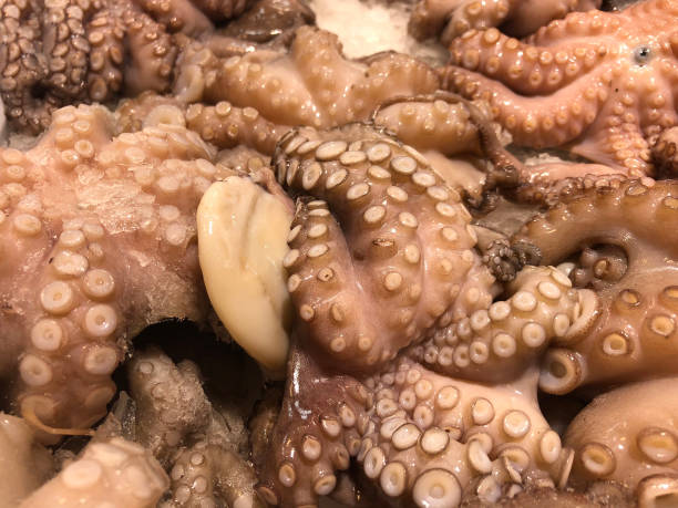 istock just cut fresh seafood, octopus on fisher table on market 938947182