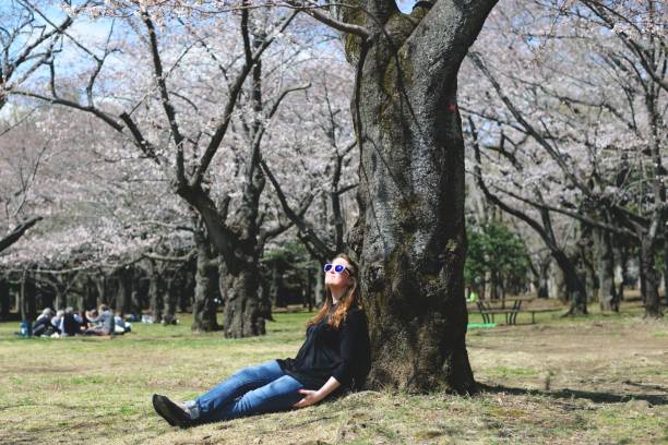 istock Young woman enjoying the cherry blossoms 938955328