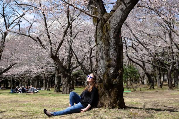 istock Young woman enjoying the cherry blossoms 938955336
