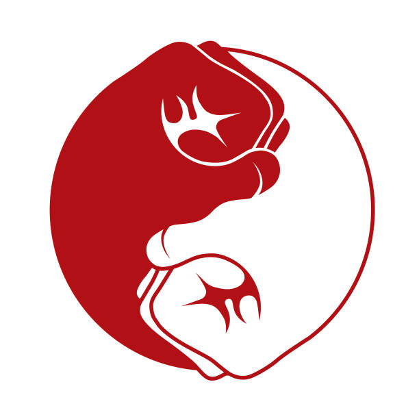 yin yang fists red and white two fists making the yin yang iconic symbol martial arts stock illustrations