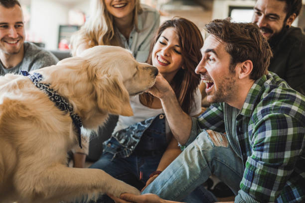 istock Enjoying with a dog at home! 938966346