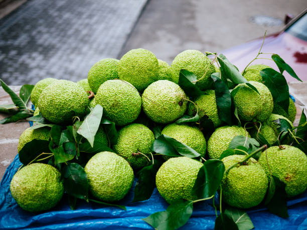 istock Green fruit is a slide. background bokeh 938966374