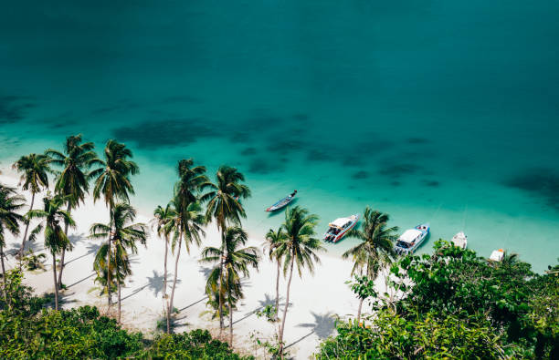 istock Tropical palm beach, white sand, small boats, emerald ocean background. Top view. Drone short 938969264