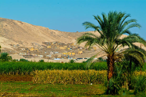 Beautiful view of the coastline with houses and hotels on the red sea. Tourist region in Egypt. Hurghada and its traditions. Stock photo for design