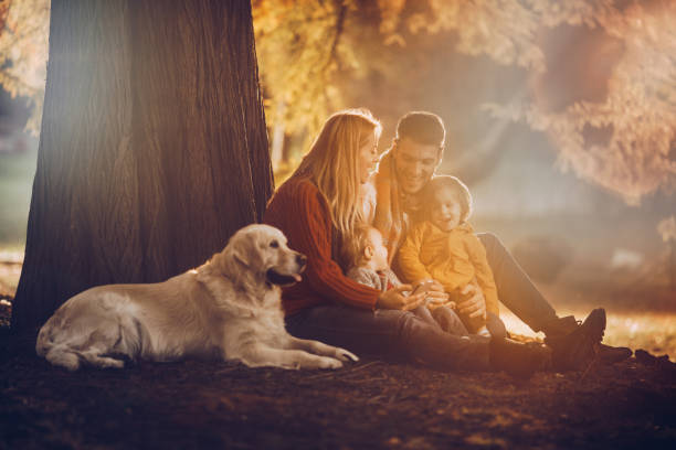 istock Young happy family talking while relaxing with their retriever in autumn. 938977130