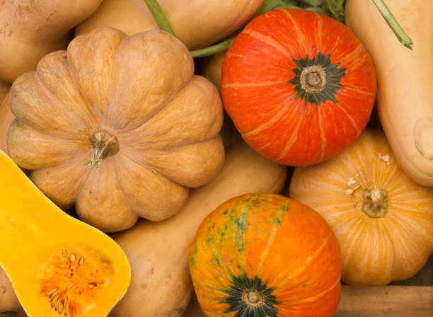 istock variety of fresh squash 938981926