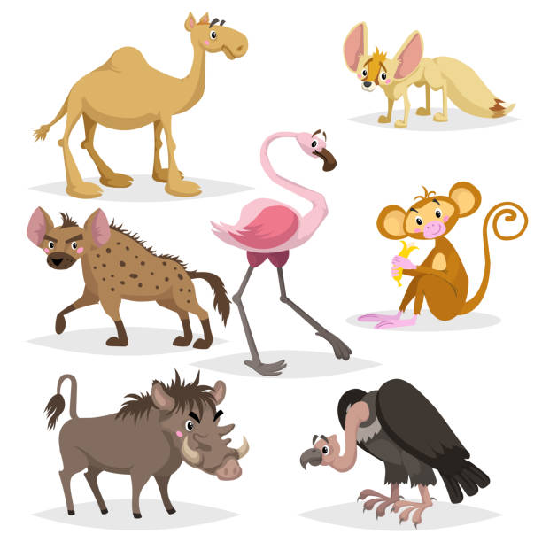 afrikanische tiere comic-reihe. dromedar kamel, geier, flamingo, hyäne, warzenschwein, affe mit banane und afrikanischen fuchs fennec. zoo-tiere-sammlung. vektor-illustrationen isoliert auf weißem hintergrund. - warzenschwein stock-grafiken, -clipart, -cartoons und -symbole