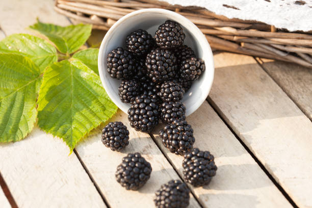 istock Blackberries in basket on the green grass 938993390