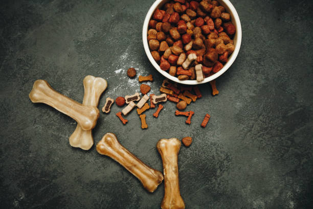 istock Dry pet food in bowl 939000404