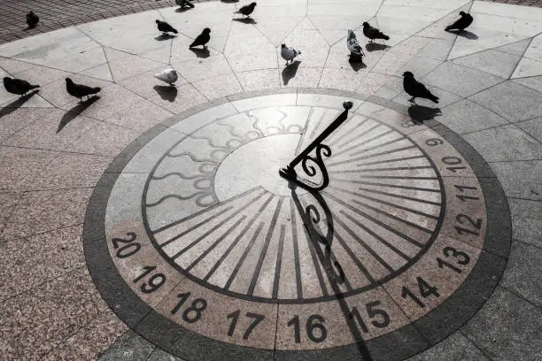 Pigeons walk on urban sundial on stone pavement, Sevostopol, Crimea