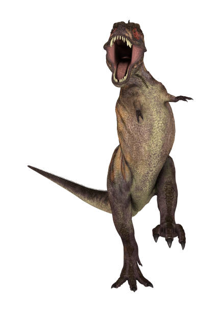istock 3D illustration dinosaur Tyrannosaurus on white 939014178