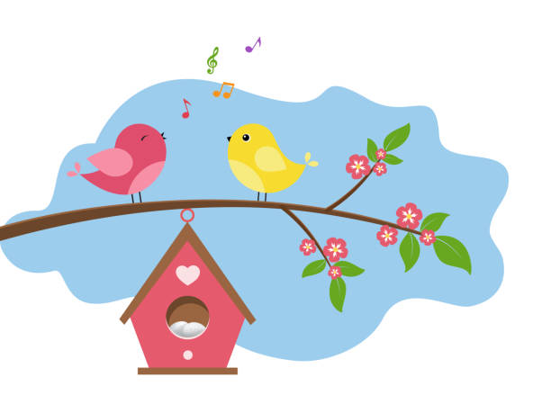 ilustraciones, imágenes clip art, dibujos animados e iconos de stock de canto de los pájaros. - birdhouse animal nest bird tree