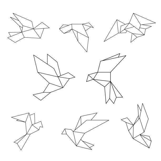 illustrations, cliparts, dessins animés et icônes de ensemble de colombe géométriques de la ligne noire. illustration vectorielle. - origami