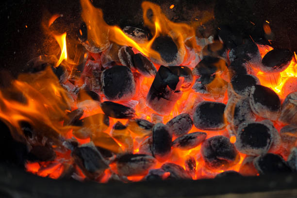 istock Warm fireplace with lots of trees ready for barbecue 939019284