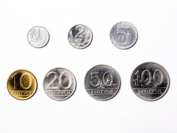 istock Old Polish coins on a white background 939031036