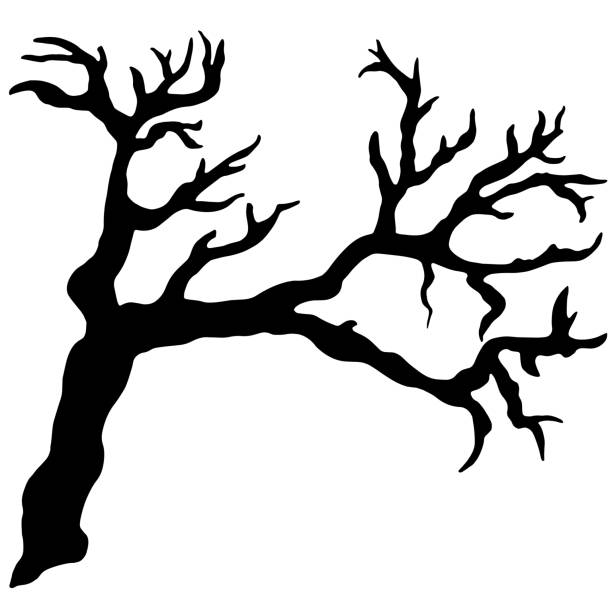 illustrations, cliparts, dessins animés et icônes de nu d’arbre, chicot, branche, bois, silhouette de branche noir dérive - tree silhouette branch bare tree