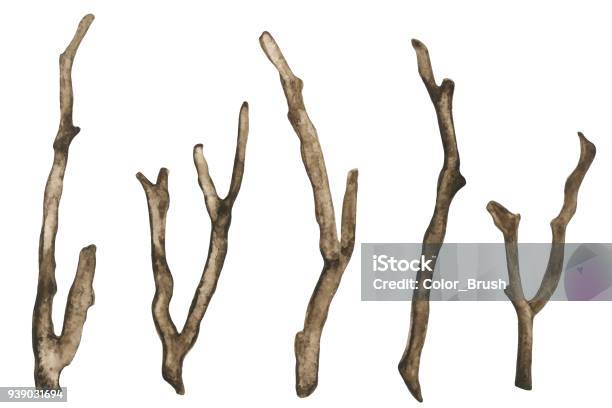 Watercolor Dry Tree Branches Stock Illustration - Download Image Now - Branch - Plant Part, Tree, Watercolor Painting