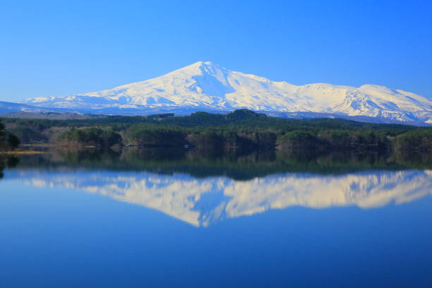 istock Spring of Chokai 939034308